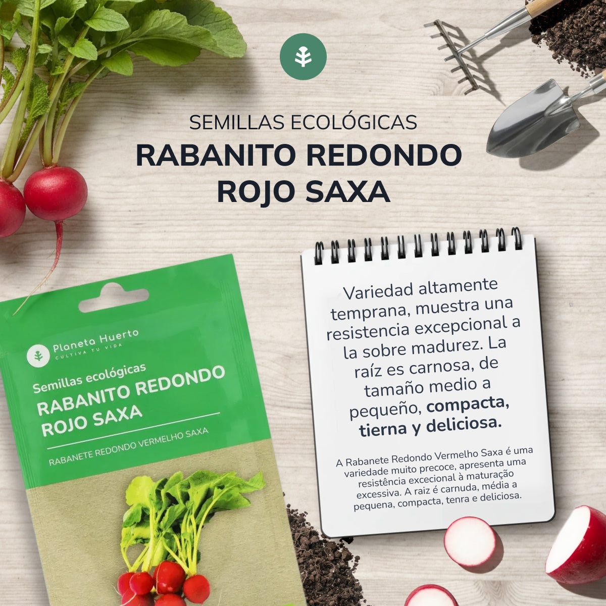 Graines bio de Radis rouge rond saxa Planeta Huerto