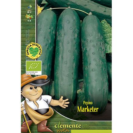 Gurkensamen Marketer Clemente