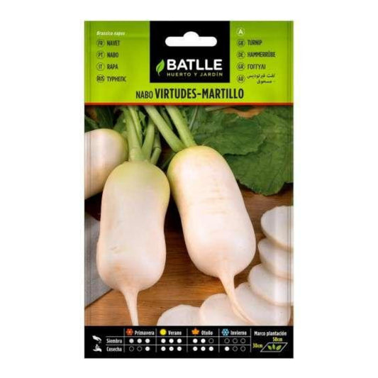 Rübensamen Virtudes Martillo sehr frühreif Batlle