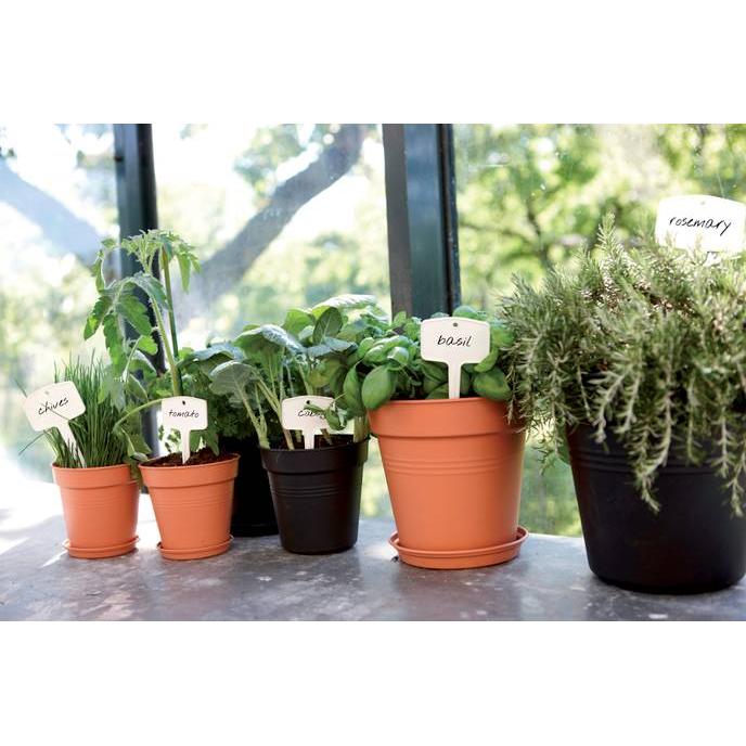Pot Green Basics Elho Anthracite 24 cm