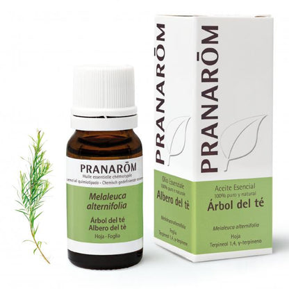 Pranarôm Tea Tree Essential Oil 10 ml