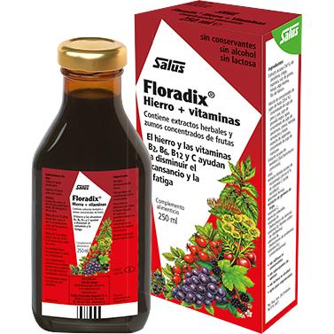 Floradix ijzersiroop Salus 500 ml