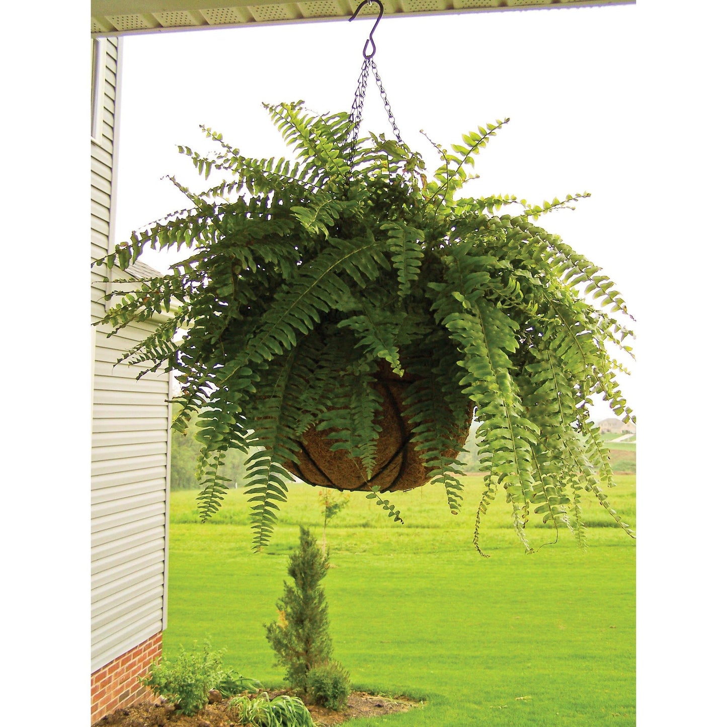 Runder Hängekorb Ø 25 cm