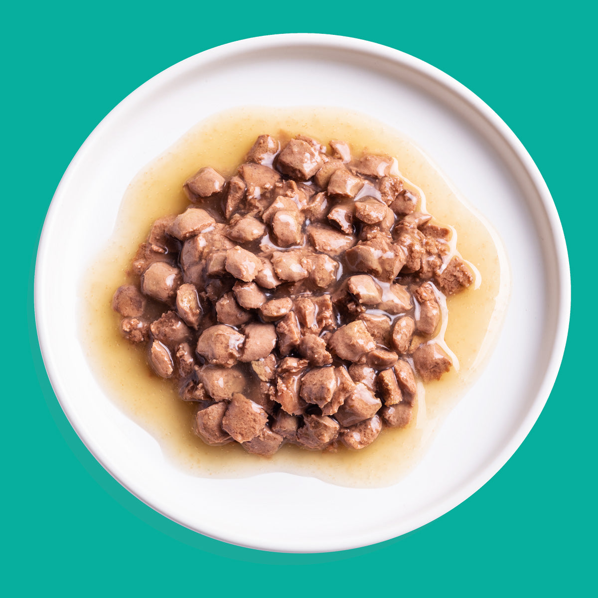 Cibo umido per gatti in salsa Pezzetti di salmone e pollo Edgard & Cooper 85 g