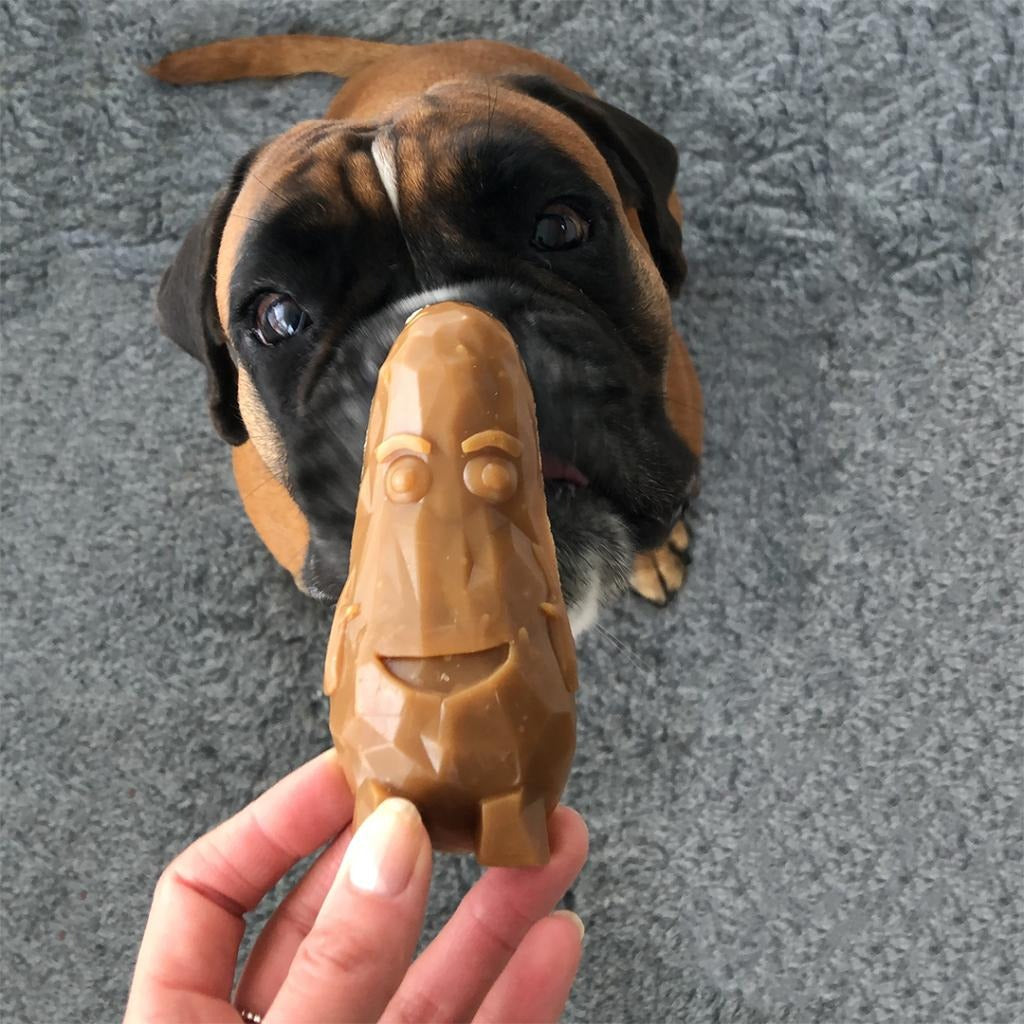 Garden Bites Veggie Friends Snack pour chiens L 3 unités Duvo