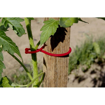 Attache pour plants de tomates Tomatoclip Nortene 25 unités
