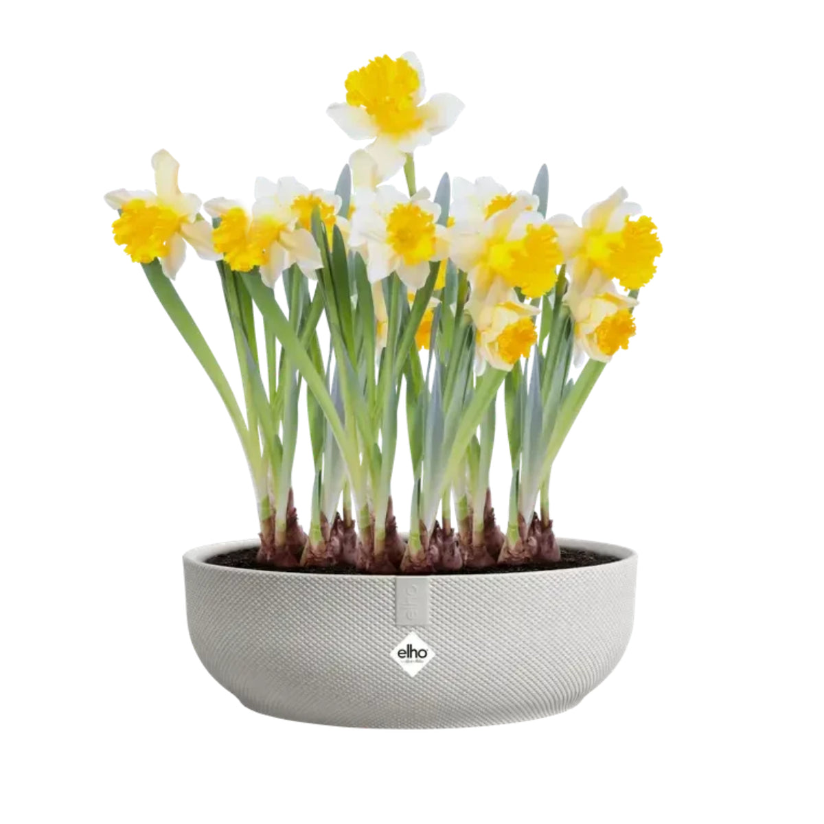 Ciotola rotonda Jazz bowl 28 cm Elho