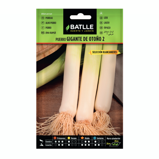 Semillas de Puerro Gigante de otoño 2 sel. Blancanieves Batlle