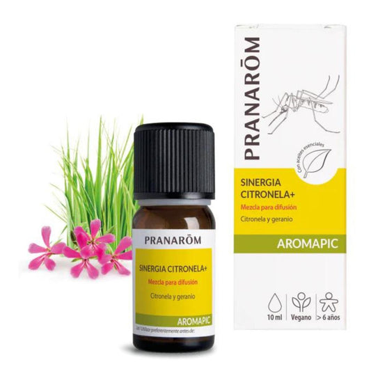 Synergie citronella + diffusie BIO Pranarôm 10 ml