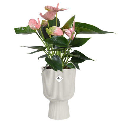 Bloempot Vibes Fold Coupe Silky White Elho 14 cm
