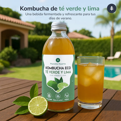 Confezione da 12 Kombucha ECO tè verde e lime Planeta Huerto 330 ml