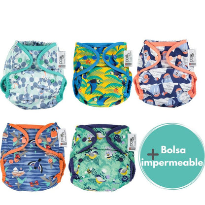 Pack 5 Pop-in Corchetes