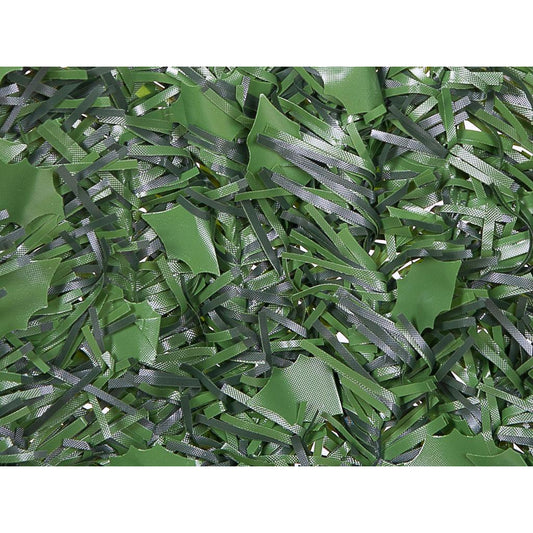 Siepe bicolore foglia edera Faura 1 x 3 m