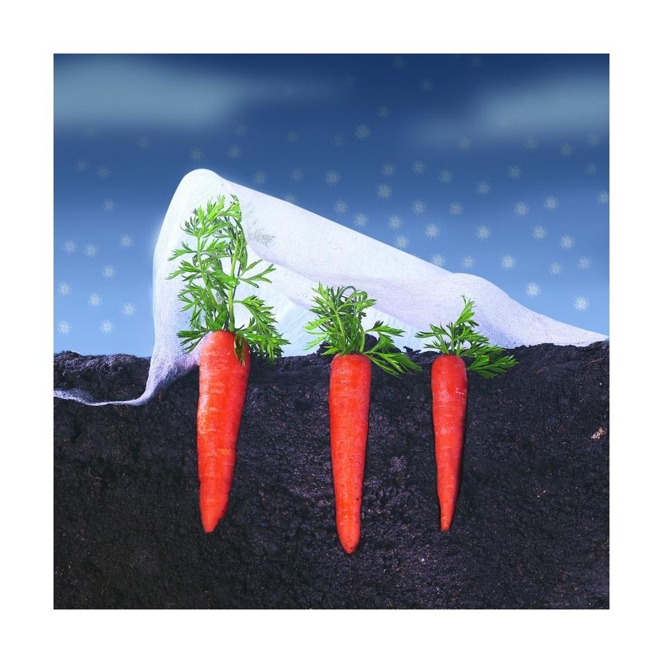 Velo de crecimiento Climatex Nortene 2 x 5 m