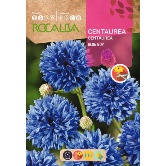 Centaurea blue boy seeds, blue