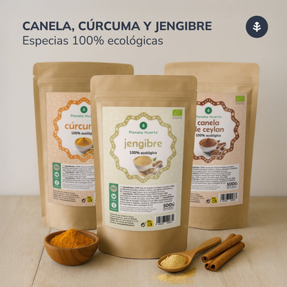 Poudre de curcuma ECO Planeta Huerto (sachet de 200g)
