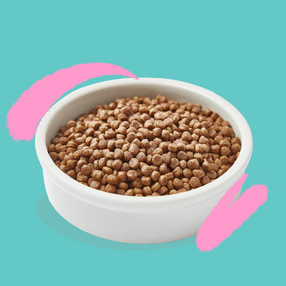 Croquettes pour chatons Kitten Canard et Poulet frais Edgard & Cooper 2 kg