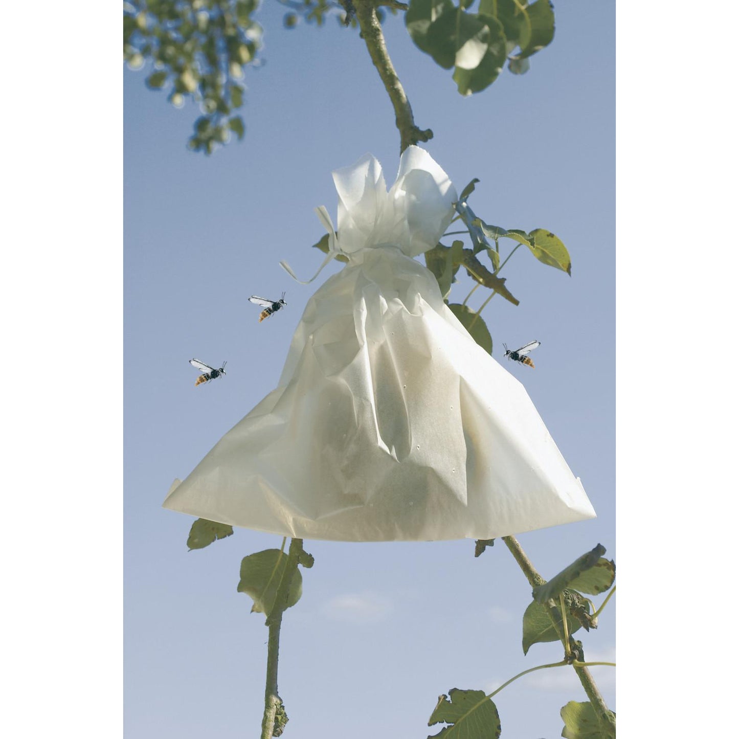 Fruitsac Nortene protective fruit covers, 50 units, 20 x 30 cm.