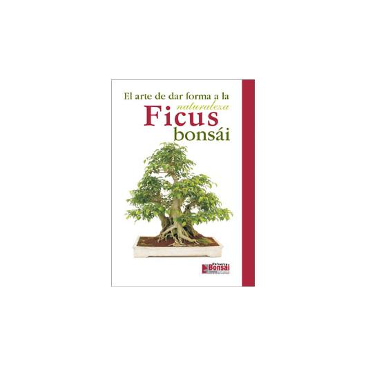 Guide Ficus bonsaï