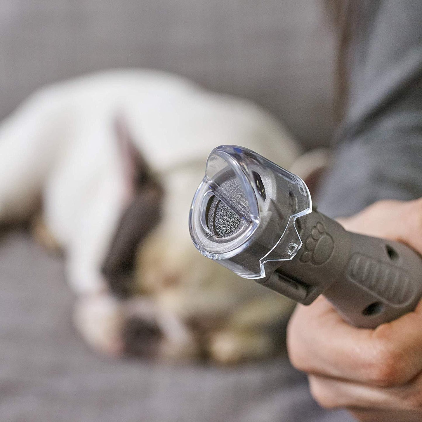 Kit per la cura delle unghie degli animali domestici Dremel 7020-PGK