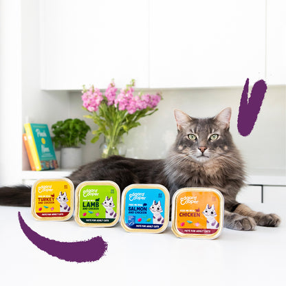 Nassfutter für Katzen, Pastete, Lachs und Huhn, Edgard & Cooper, 85 g