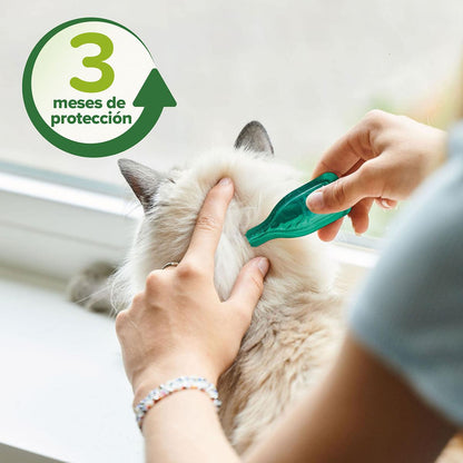 Pipetten met natuurlijke parasietenwerende middelen voor katten 3x1 ml