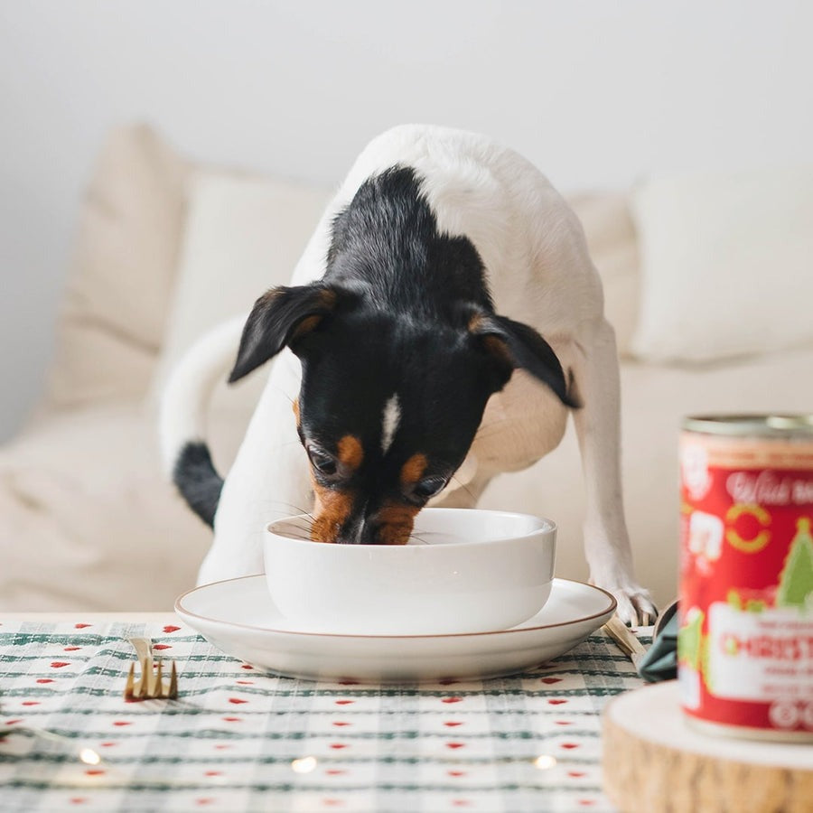 Barattolo Ricetta di Natale BARF cervo e coniglio per cani Wild Balance 400 g