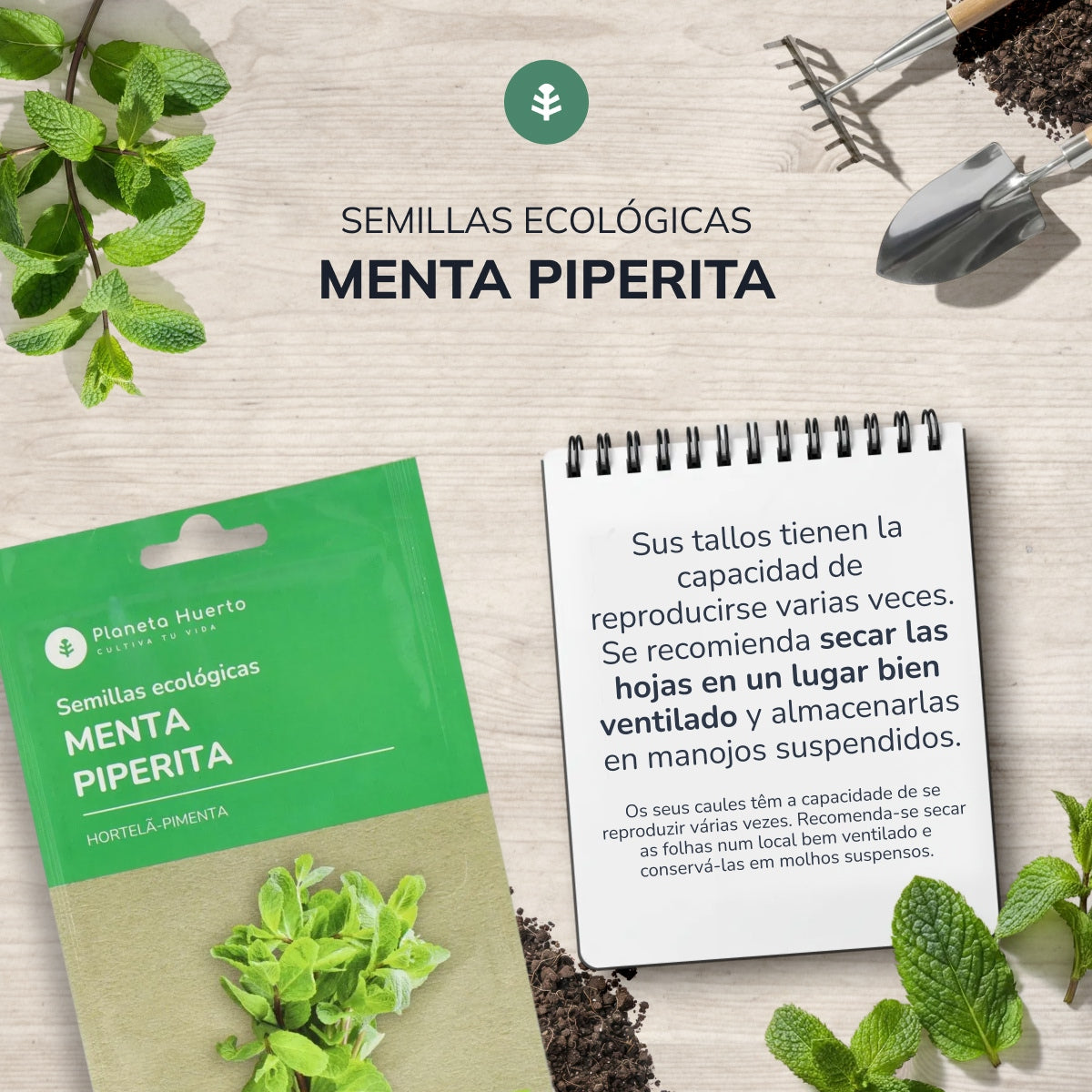 Semi biologici di menta piperita Planeta Huerto
