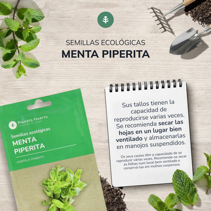 Semi biologici di menta piperita Planeta Huerto