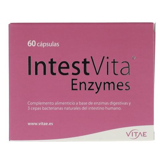 IntestVita Enzymes 60 gélules