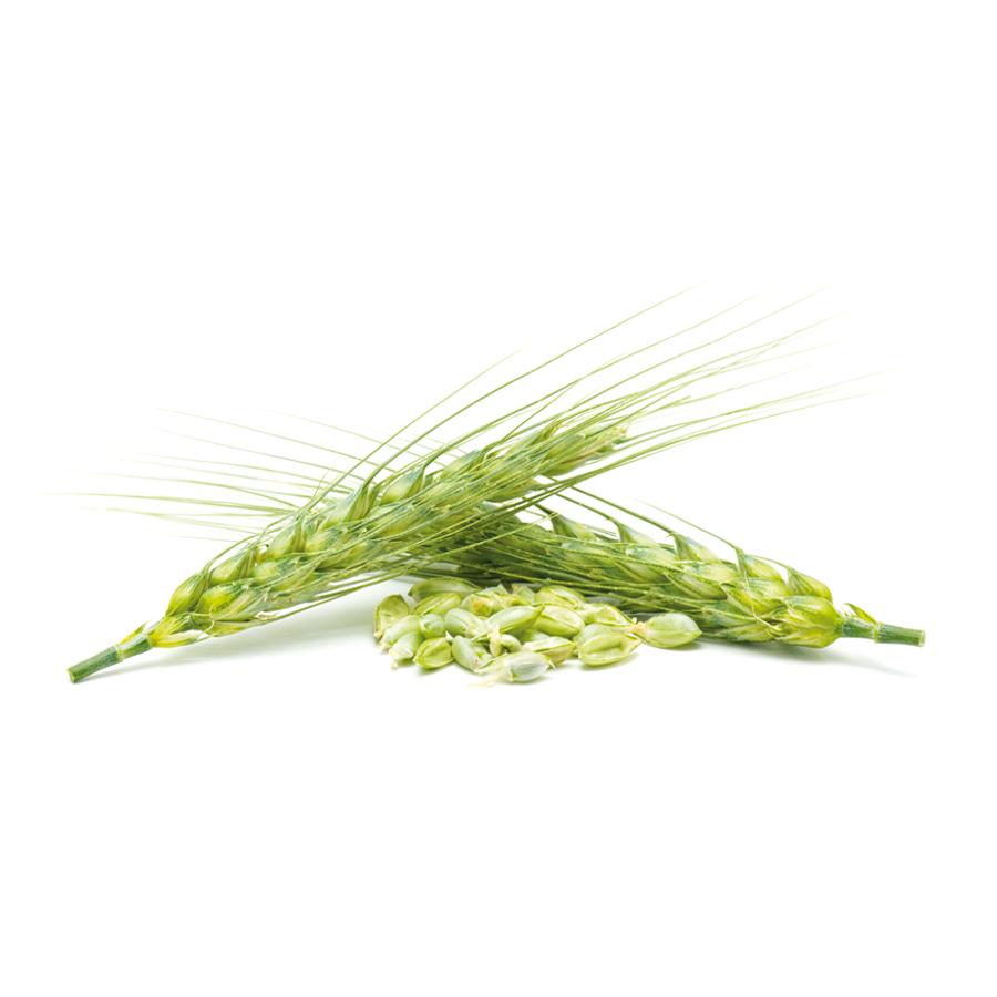 Levure de bière El Granero, 500 comprimés de 400 mg