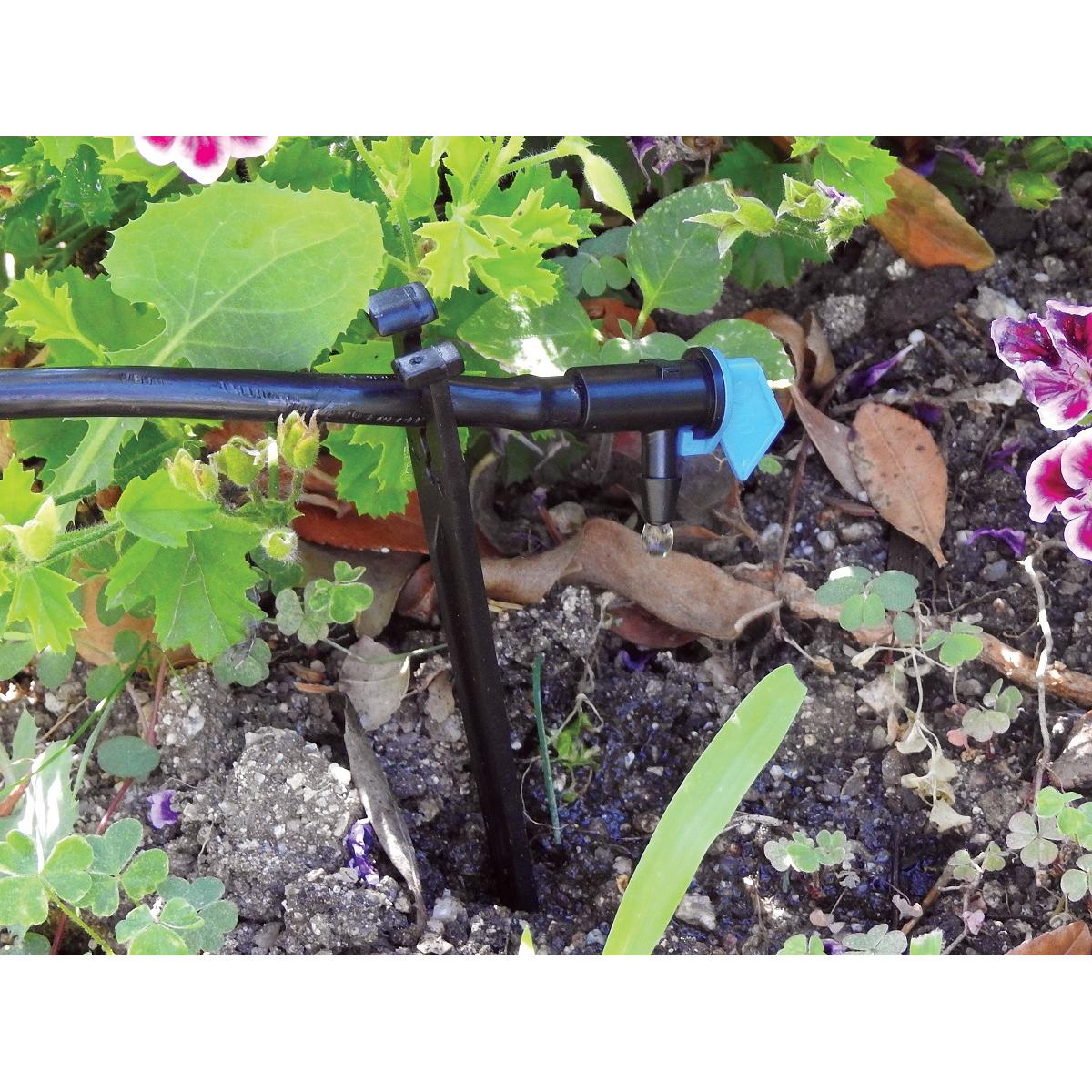 Contagocce Bandera 4 l/h Aqua Control 25 pz