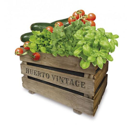 Kit orto vintage Eco Batlle