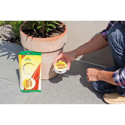 Piège à fourmis écologique Loxiran 2 pièces Neudorff