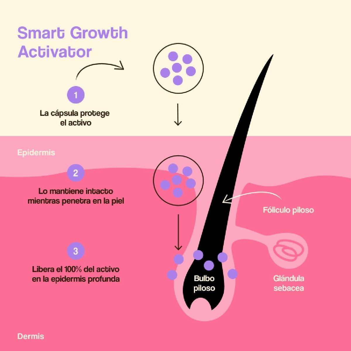 Behandeling voor haargroei en -dichtheid Freshly 50 ml