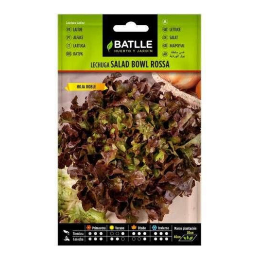 Eichsalat-Samen Batlle