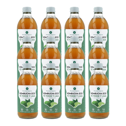 Pack of 12 Planeta Huerto organic green tea and lime kombucha 330 ml