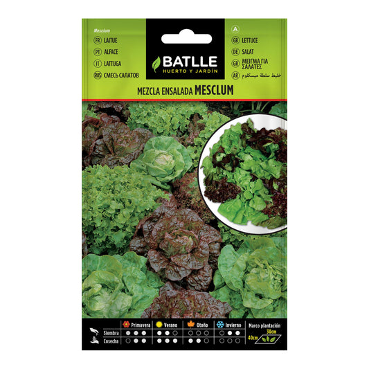 Mesclum Lettuce Seeds Batlle