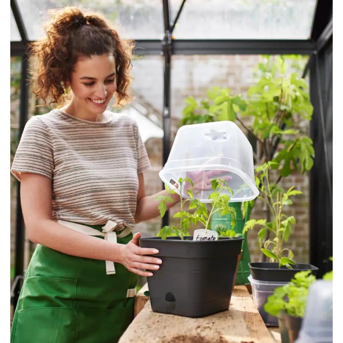 ALLIN1 Green Basics Elho Anthrazit 15 cm Pflanzkübel