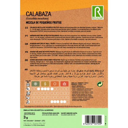 Pompoenpittenmix met kleine vruchten Rocalba