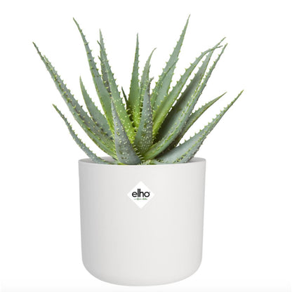 Fioriera B.for Soft Round Elho Bianca 22 cm