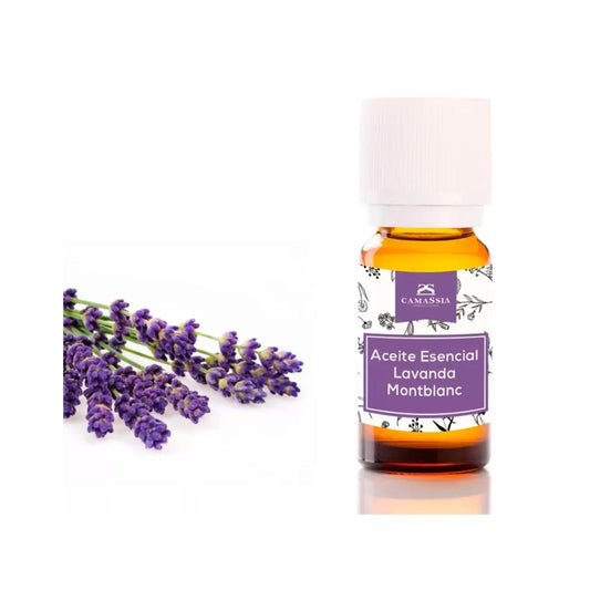 Olio essenziale di lavanda, Camassia 30 ml