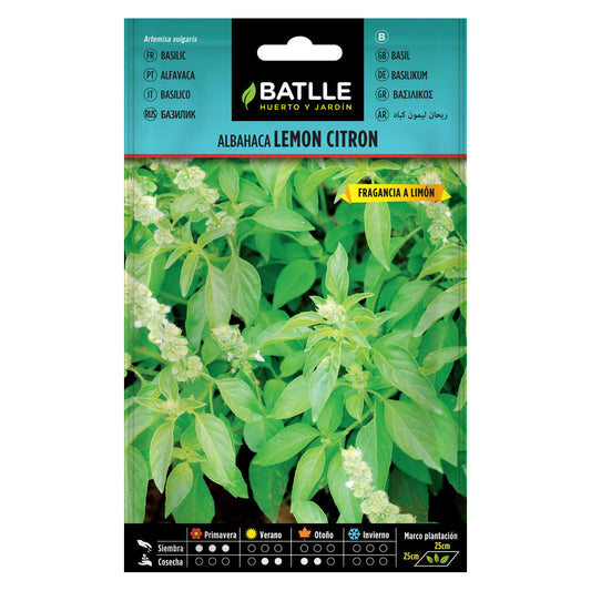 Semillas de Albahaca Lemon Citron Batlle