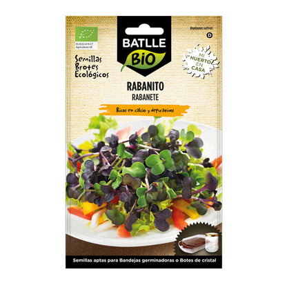 Graines de radis Sango bio pour germes Batlle