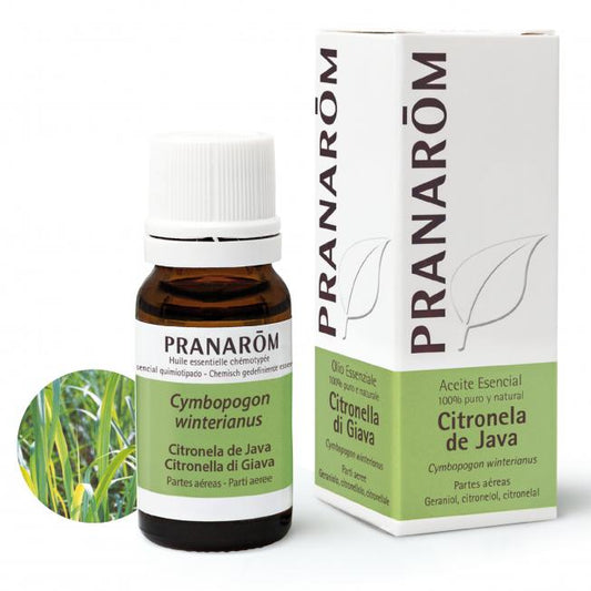 Pranarôm Java Citronella Essential Oil 10 ml