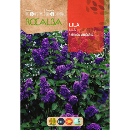 Lilaseeds Syringa vulgaris