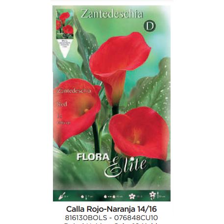 Bulbo di Calla rosso arancione 1 pz