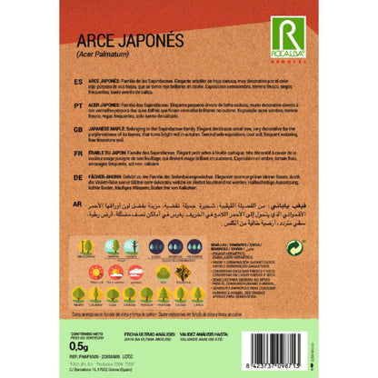 Graines d'érable japonais Acer palmatum