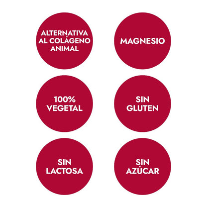 Acides aminés de collagène Saveur Cookies & Cream, Ana María La Justicia, 350 g en poudre