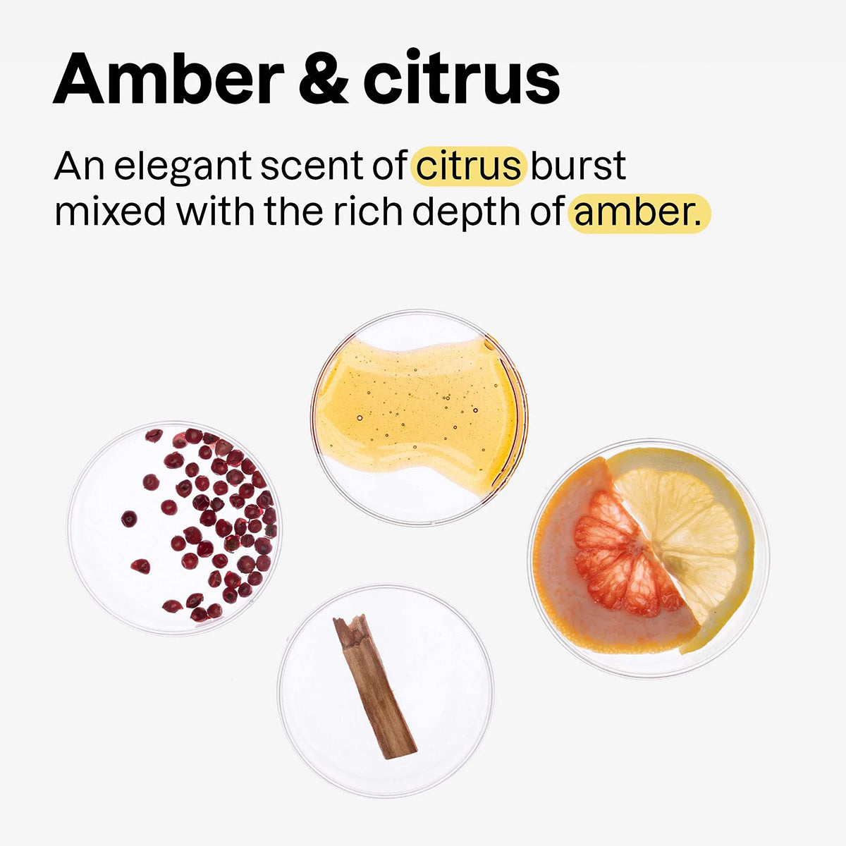 Déodorant Super leaves men Ambre & Agrumes